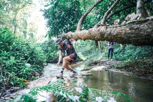 BIB: 
                            <button type="button" onclick="openModal(25439373)" class="btn btn-primary btn-sm float-right btn-popup" data-toggle="modal" data-target=".modal-high-quality">
                        <i class="fas fa-shopping-cart"></i> Add to Cart
                    </button>
                                            <button type="button" onclick="isThisMe(25439373, true)" class="btn btn-success btn-sm float-right btn-popup btn-isme hidden" data-toggle="tooltip" data-placement="bottom" title="นี่คือรูปของคุณใช่ไหม คลิกที่นี่เพื่อเอาเข้าอัลบั้ม">
                        <i class="fas fa-plus"></i> Add to album
                    </button>
                    <button type="button" onclick="isThisMe(25439373, false)" class="btn btn-warning btn-sm float-right btn-popup btn-isnotme hidden">
                        <i class="fas fa-ban"></i> Remove from album
                    </button>